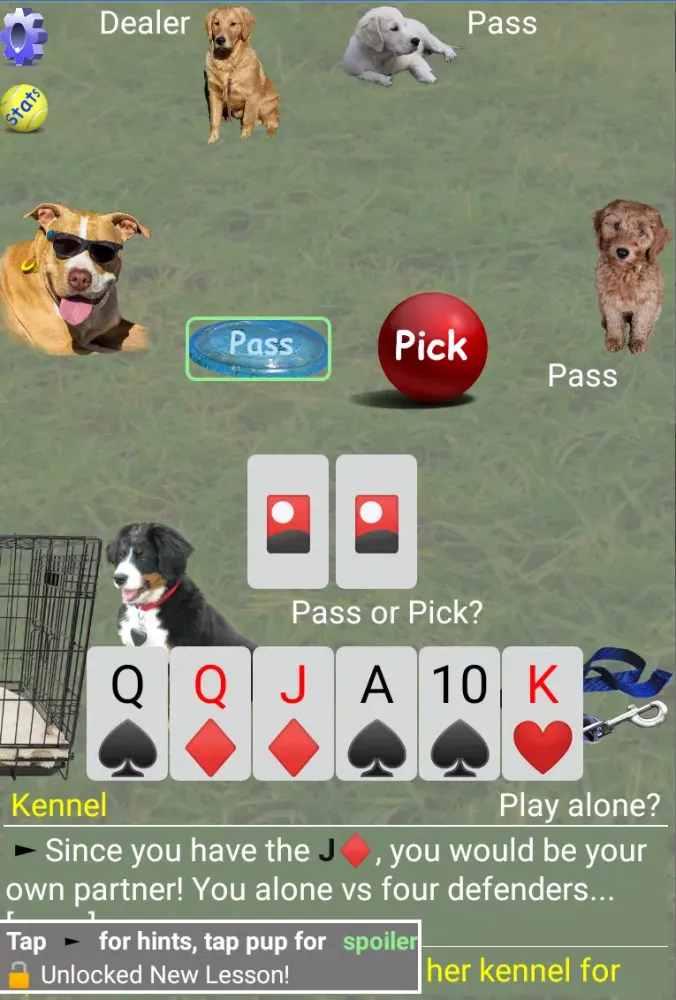 K9 Sheepshead (Schafkopf) Screenshots
