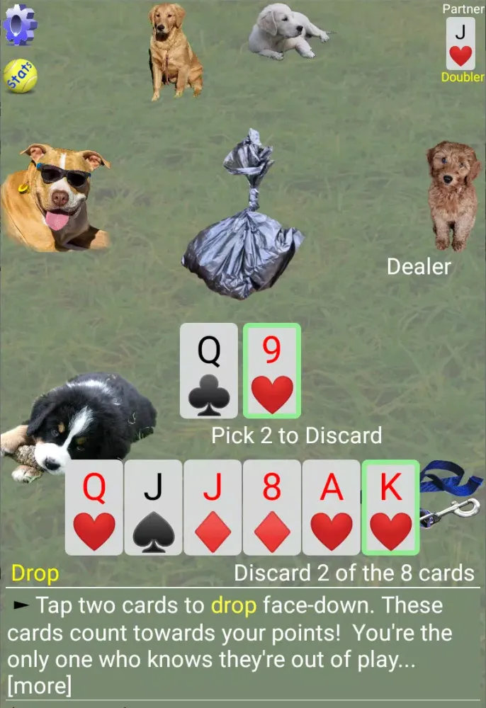K9 Sheepshead (Schafkopf) Screenshots