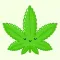 I am too high