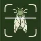 Bug Insect Identifier