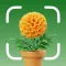 Plant Tree Identifier & Health