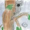 Why the Koala Doesn’t Drink Water