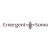 Embodied Wisdom School