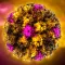 Virus Encyclopedia