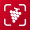 Wine searcher and tracker AI