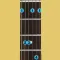 NoteSmart, 118,000 Guitar Chords