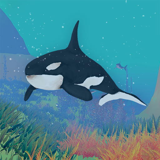 Wild Animals VR Kid Game Wild Animals VR Kid Game
