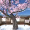 脱出ゲーム:空き家