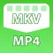 MKV to MP4 Converter