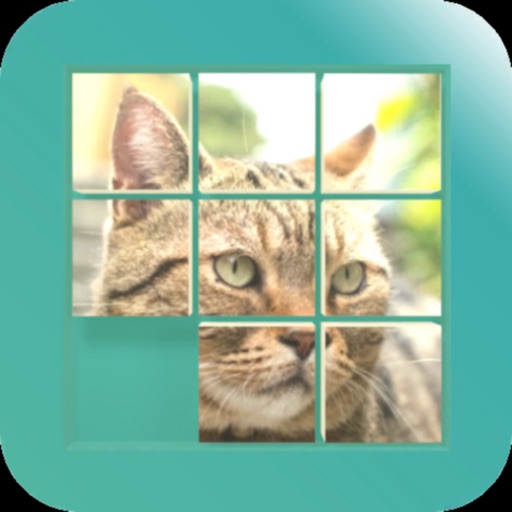 CAT PUZZLE GAME/Move the tiles CAT PUZZLE GAME/Move the tiles
