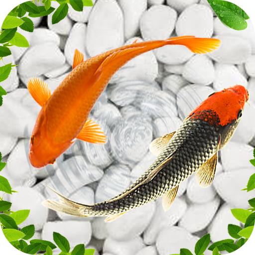 Koi Wallpapers