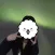 PhotoBatchEffector