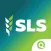 Slovenska ljudska stranka