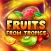 Fruits from Tropics