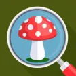 Mushroom Identifier -