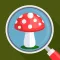 Mushroom Identifier -