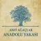 Anıt Ağaçlar - Anadolu