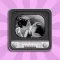 Animated TV Sticker Pack