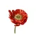Botanical Flowers Stickers