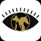 The Eye Vet