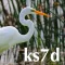 K3iNetwork
