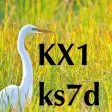 KX1 Micro Manual
