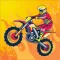 BikeRace.io™