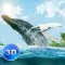 Big Blue Whale Survival 3D Full - Try whale simulator, be ocean animal!