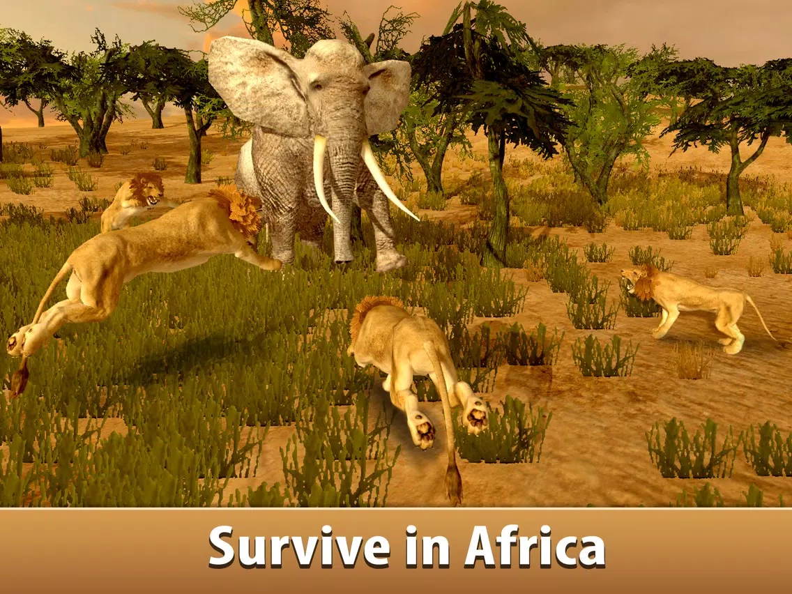 Big Elephant Simulator: Wild African Animal 3D iPad Screenshots
