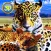 Leopard Family Simulator