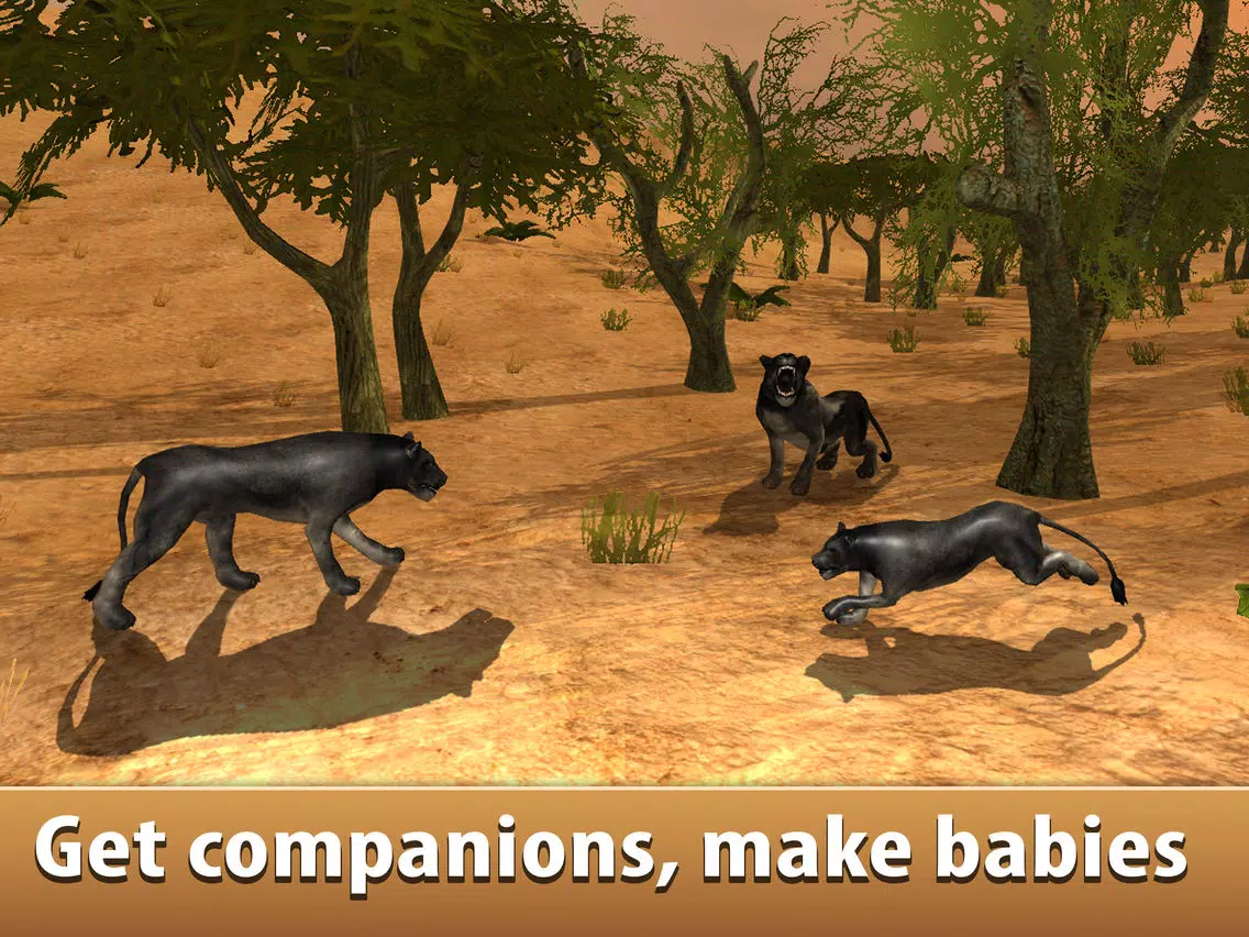 Black Wild Panther Simulator 3D Full - Be a wild cat in animal simulator! iPad Screenshots