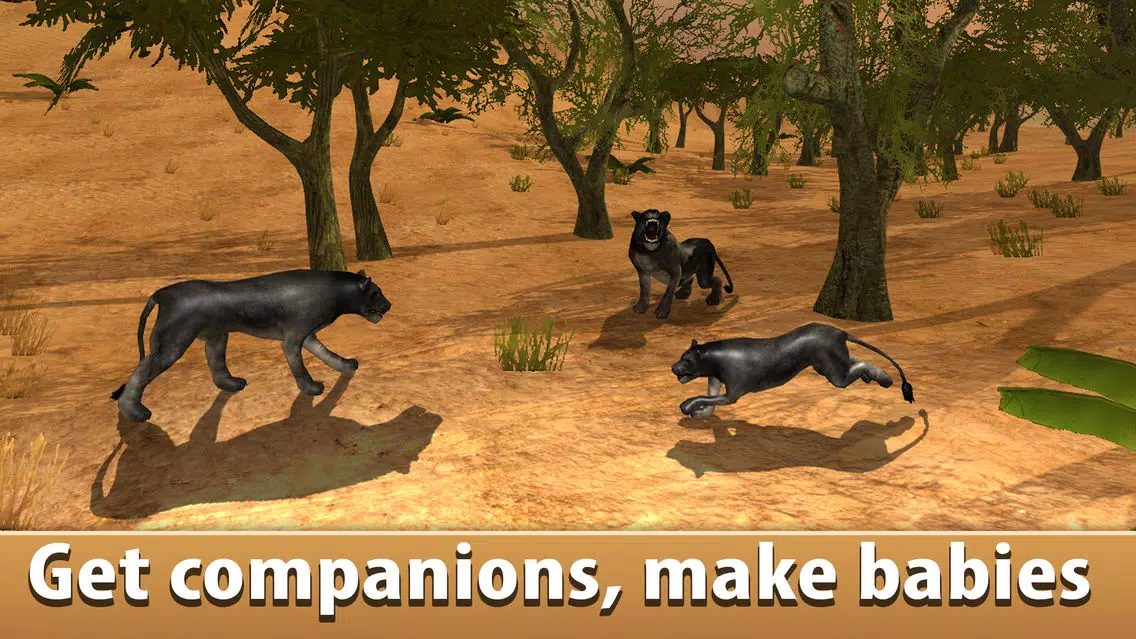 Black Wild Panther Simulator 3D Full - Be a wild cat in animal simulator! Screenshots