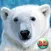 Wild White Polar Bear Simulator Full