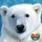 Wild White Polar Bear Simulator Full