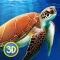 Ocean Turtle Simulator: Animal Quest 3D