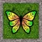 Butterfly Catchers