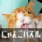 回転にゃんこパズル