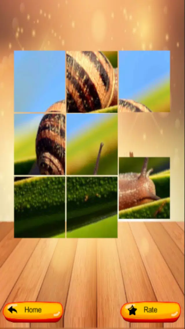 Capturas de tela do Puzzle My Pic