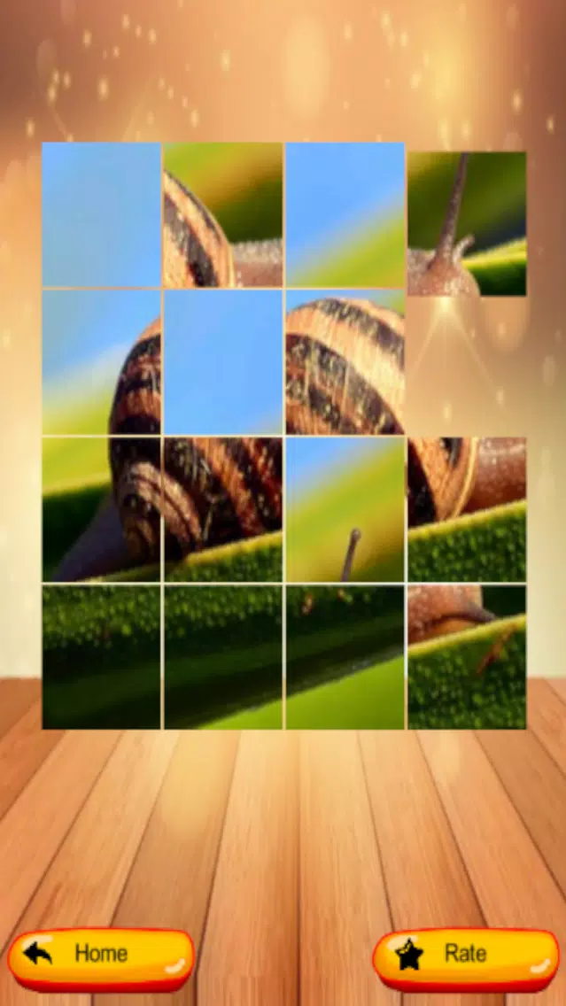 Capturas de tela do Puzzle My Pic