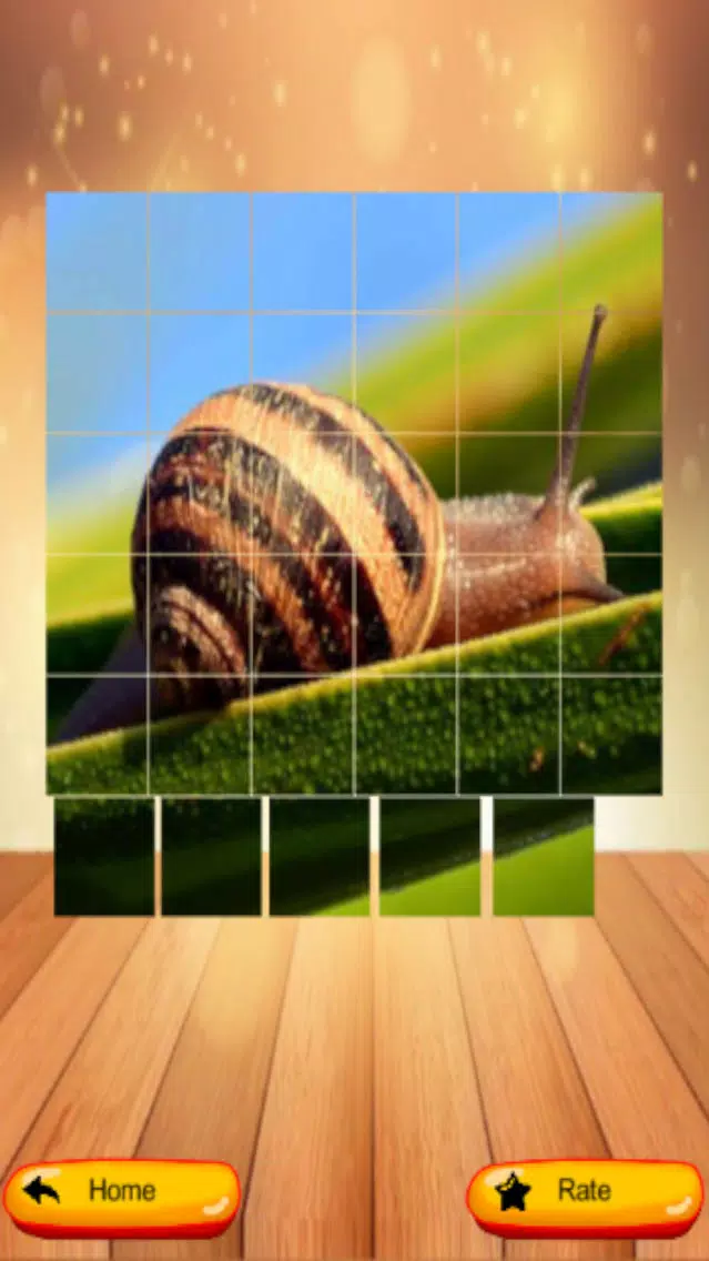Capturas de tela do Puzzle My Pic