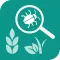 Plant Identification - 植物识别