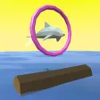 Dolphin Hoops