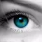 Color Highlight - Recolor Grayscale Photo Editor Free