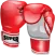 Referee Assistant (Boxing)