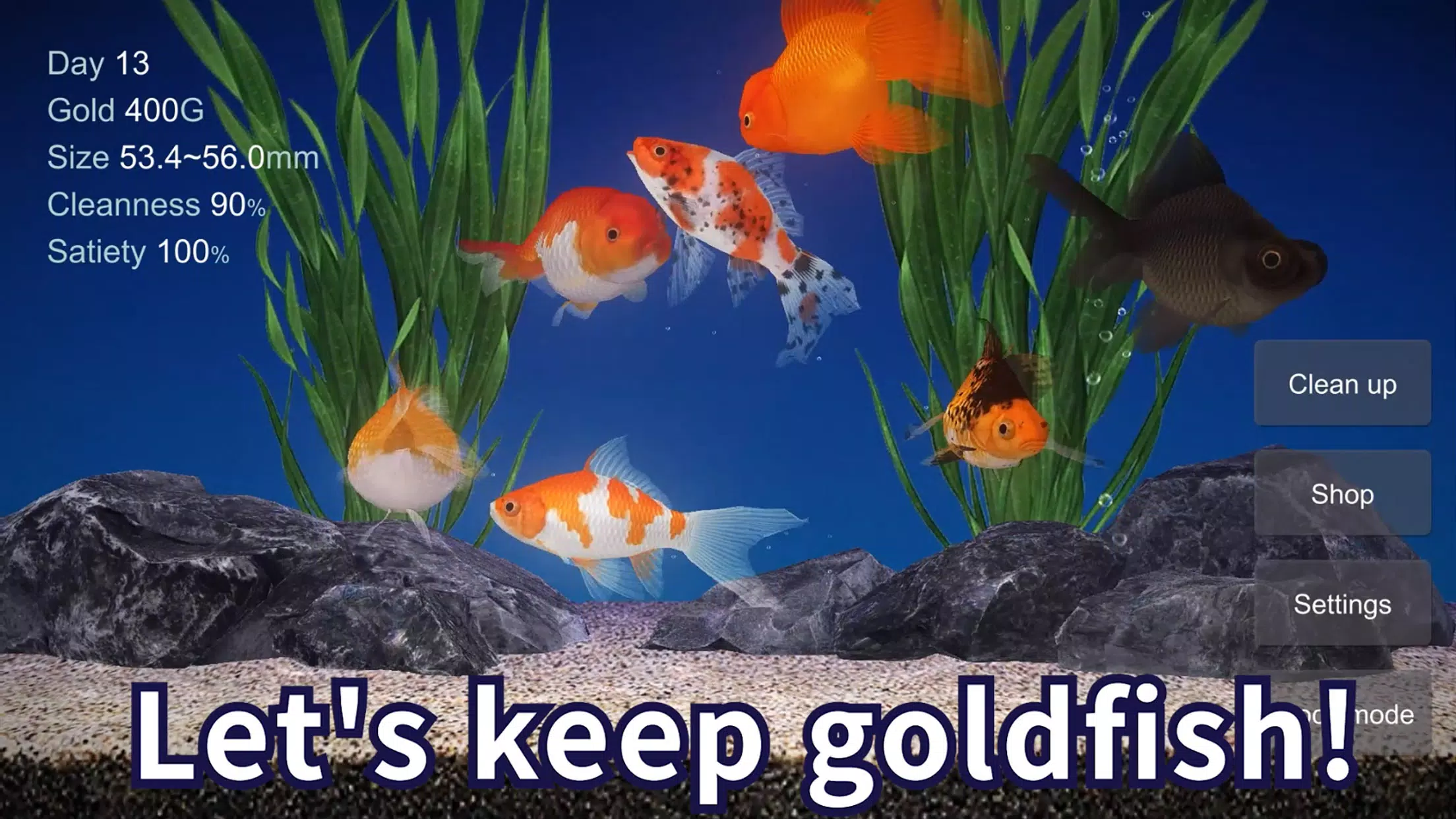 Goldfish Screenshots