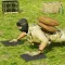 US Army Training School & Offroad Driving