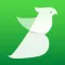 Bird Sounds of Nature 2020