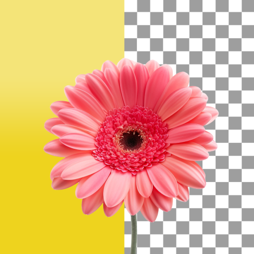 Background Remover App