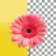 Background Remover App