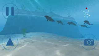 Скриншоты Sharks VR